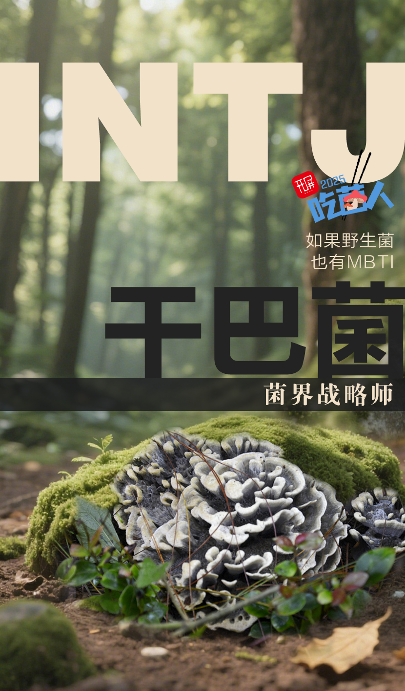 野生菌MBTI