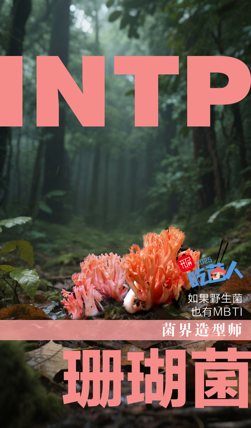 野生菌MBTI