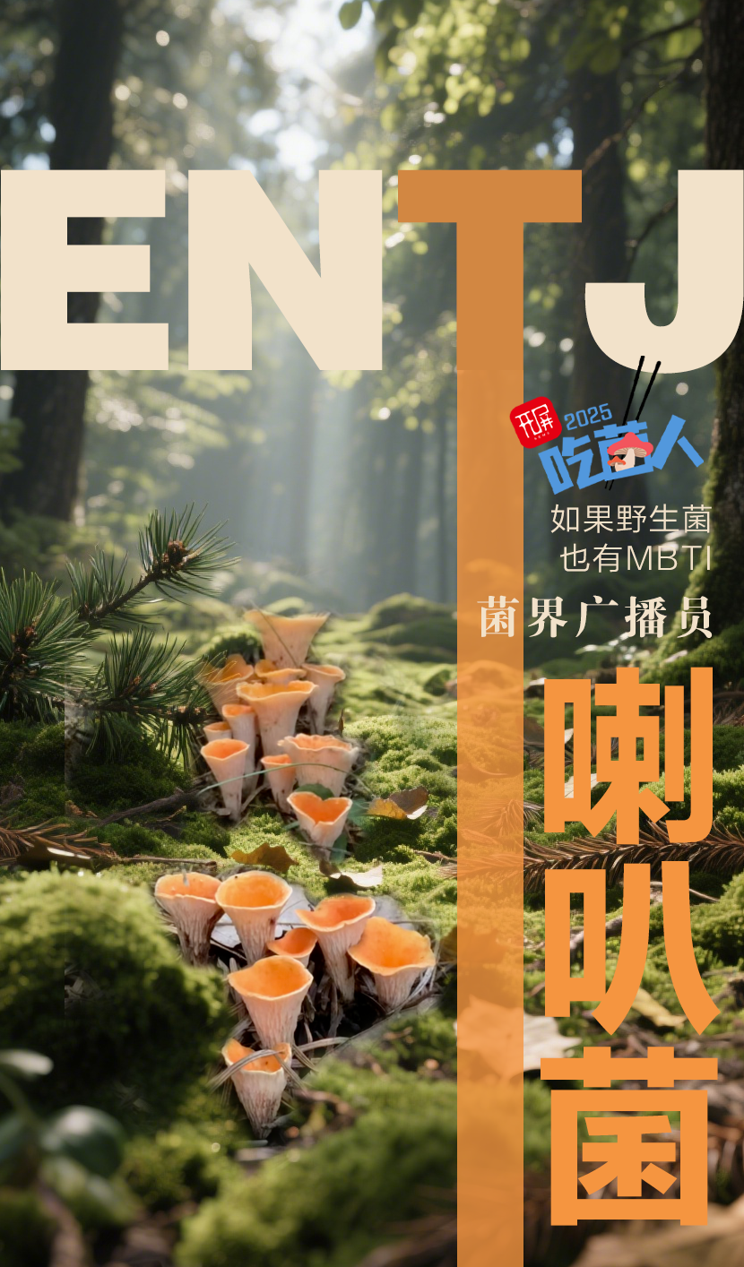 野生菌MBTI