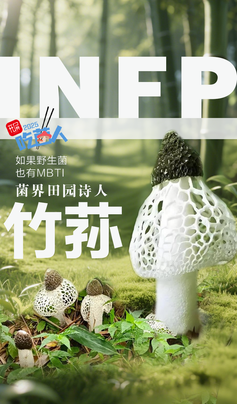野生菌MBTI