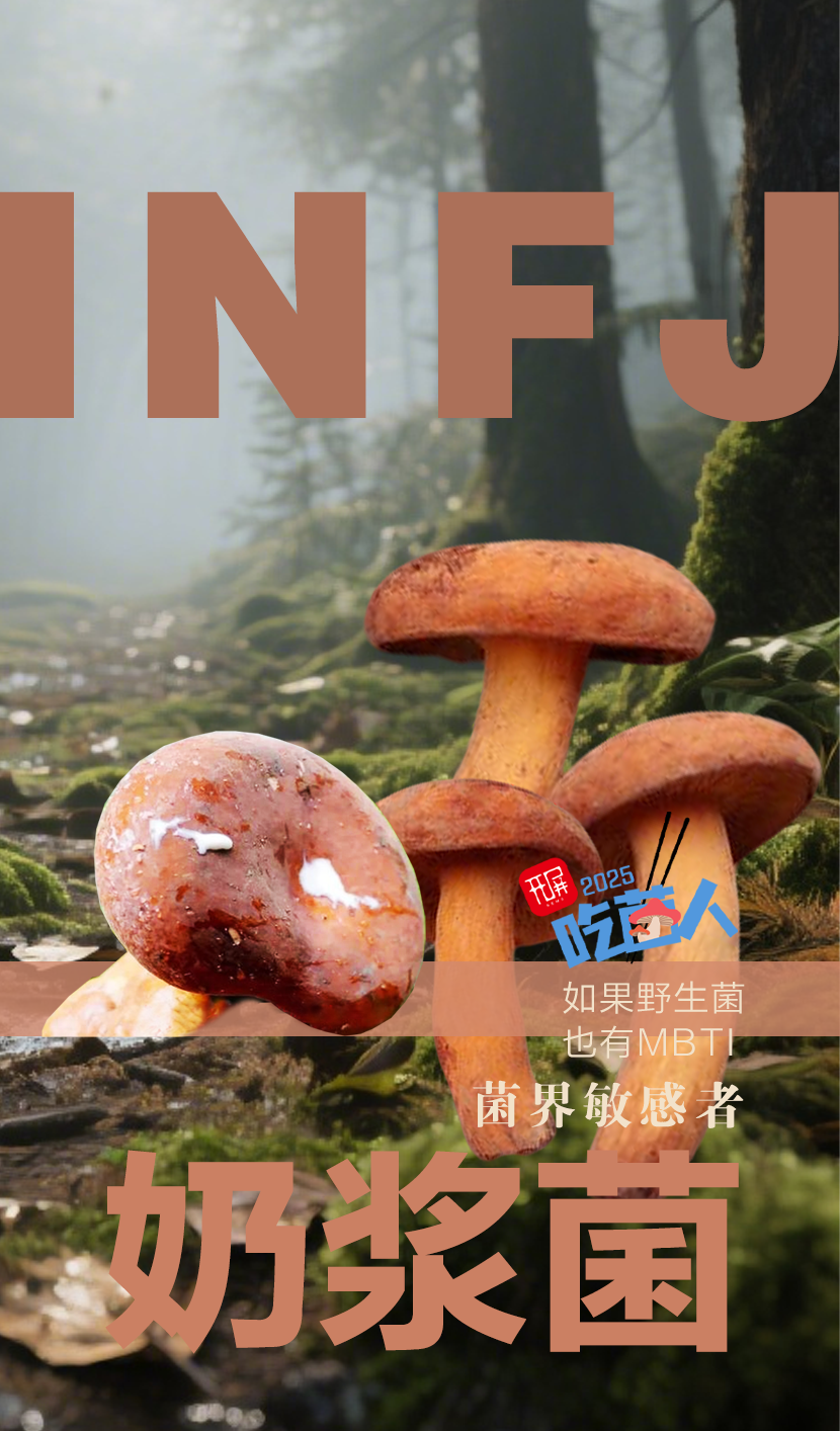 野生菌MBTI