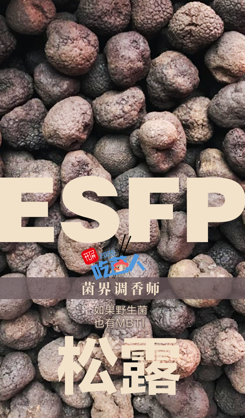 野生菌MBTI